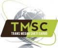 Trans Megah Services
