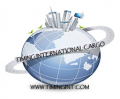 TIMING INTERNATIONAL CARGO CORP