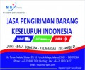 PT. Mandira Sarana Indonusa