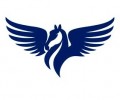 ASP Global Pty Ltd