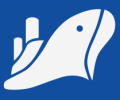 DNP SHIPPING CO., LTD,