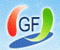 Great Fortune Logis Co Ltd
