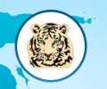TIGER INTERNATIONALSHIPPING CO.LTD