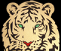Tiger International Shipping Co.,Ltd
