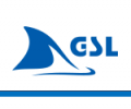 Global Star Logistics Co Ltd (GSL)
