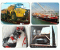 International Cargo / Export Shipping Co., Inc.