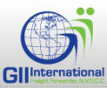GII INTERNATIONAL, INC.