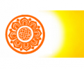 CNHOLDING SHIPPING LIMITED