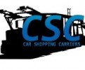 Car Shipping Carriers