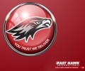 FAST HAWK WORLD WIDE COURIER