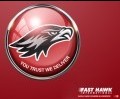 FAST HAWK INTERNATINAL