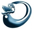 SHAHEEN SHIPPING AGENCIES