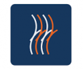 TEAMWORK SHIPPING AND LOGISTICS LLC - TWSL