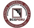 BUSINESS COMERCIAL GROUP SAC - BCGPERU