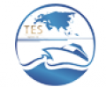 TES LOGISTICS LIMITED (Top Euro Solutions)
