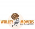 Wolley Movers Chicago
