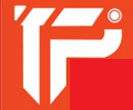 TechnoPro LLC