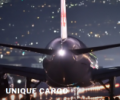 Unique Cargo Int. Freight Forwarding Co.