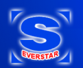 EVERSTAR LINES LTD. (VIETNAM)