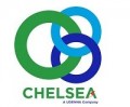 Chelsea Logistics and Infrastructure Holdings Corp.