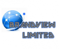 BVL AGENCY LIMITED