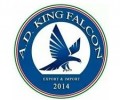 AD Kingfalcon
