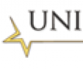 UNIQUE STAR T AND SERVICES