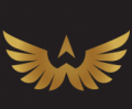 NEW ARAB WINGS LLC.