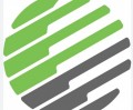 DIRECT LINE LLC