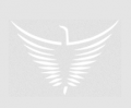 PHOENIX SRL