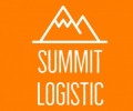 SUMMIT LOGISTIC LLC