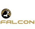 Falcon International