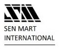 SEN MART INTERNATIONAL  (SMI)